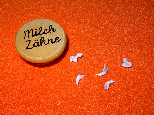 Milchzähne Foto