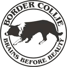 Border Logo